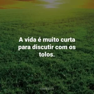 A vida é muito curta para discutir com os tolos. – Marco Aurélio. Frases Estoicas