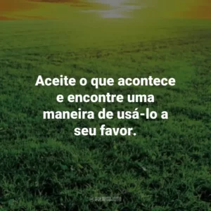 Aceite o que acontece e encontre uma maneira de usá-lo a seu favor. – Marco Aurélio. Frases Estoicas