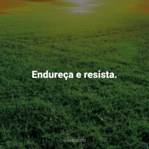 Endureça e resista. – Sêneca. Frases Estoicas