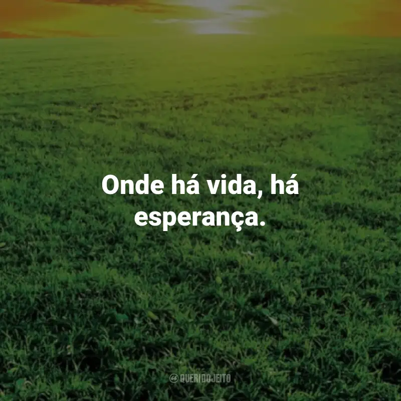 Frases Estoicas: Onde há vida, há esperança. - Sêneca.