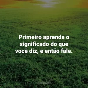 Primeiro aprenda o significado do que você diz, e então fale. – Epicteto. Frases Estoicas