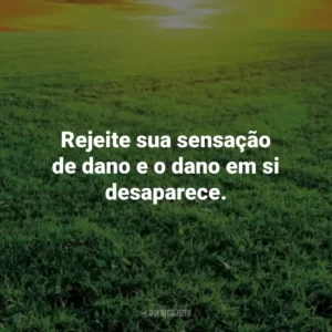 Rejeite sua sensação de dano e o dano em si desaparece. – Marco Aurélio. Frases Estoicas