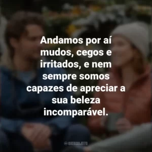 Andamos por aí mudos, cegos e irritados, e nem sempre somos capazes de apreciar a sua beleza incomparável. Felicidade para Principiantes (Filme)
