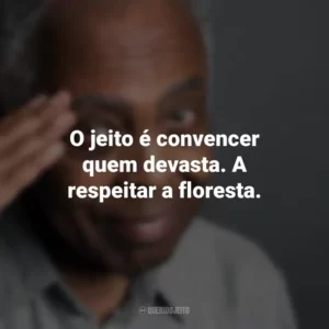 O jeito é convencer quem devasta. A respeitar a floresta. Gilberto Gil