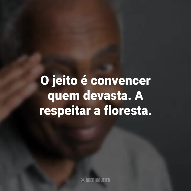 Frases do Gilberto Gil: O jeito é convencer quem devasta. A respeitar a floresta.