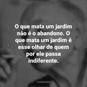 O que mata um jardim não é o abandono. O que mata um jardim é esse olhar de quem por ele passa indiferente. Mário Quintana