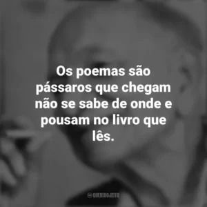Os poemas são pássaros que chegam não se sabe de onde e pousam no livro que lês. Mário Quintana