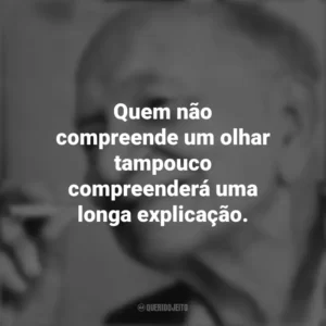 Quem não compreende um olhar tampouco compreenderá uma longa explicação. Mário Quintana