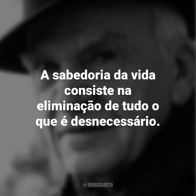 Frases de Milan Kundera: A sabedoria da vida consiste na eliminação de tudo o que é desnecessário.