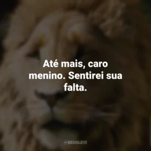 Até mais, caro menino. Sentirei sua falta. As Crônicas de Nárnia: O Leão, A Feiticeira e o Guarda-roupa