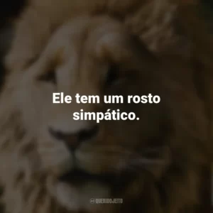 Ele tem um rosto simpático. As Crônicas de Nárnia: O Leão, A Feiticeira e o Guarda-roupa