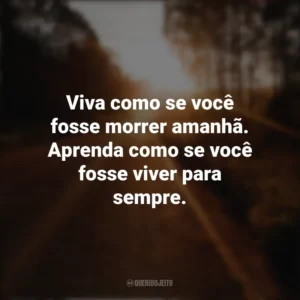 Viva como se você fosse morrer amanhã. Aprenda como se você fosse viver para sempre. Seguir em Frente