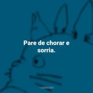 Pare de chorar e sorria. – Meu Amigo Totoro. Studio Ghibli