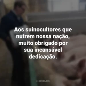 Aos suinocultores que nutrem nossa nação, muito obrigado por sua incansável dedicação. Dia do Suinocultor