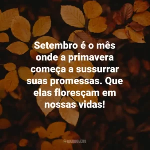 Setembro é o mês onde a primavera começa a sussurrar suas promessas. Que elas floresçam em nossas vidas! Bem-Vindo Setembro