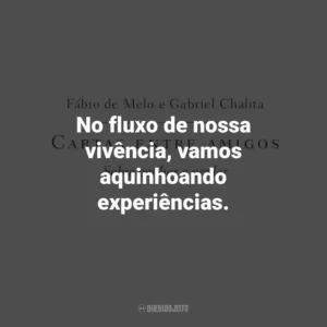 No fluxo de nossa vivência, vamos aquinhoando experiências. Cartas entre amigos: Sobre ganhar e perder (Livro)