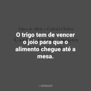 O trigo tem de vencer o joio para que o alimento chegue até a mesa. Cartas entre amigos: Sobre ganhar e perder (Livro)