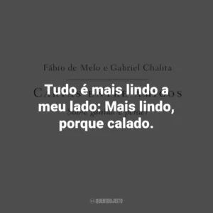 Tudo é mais lindo a meu lado: Mais lindo, porque calado. Cartas entre amigos: Sobre ganhar e perder (Livro)