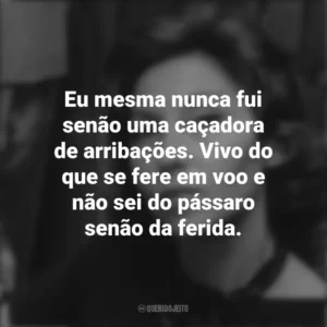 Eu mesma nunca fui senão uma caçadora de arribações. Vivo do que se fere em voo e não sei do pássaro senão da ferida. Clarice Lispector