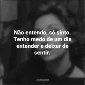 Não entendo, só sinto. Tenho medo de um dia entender e deixar de sentir. Clarice Lispector