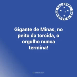 Gigante de Minas, no peito da torcida, o orgulho nunca termina! Cruzeiro