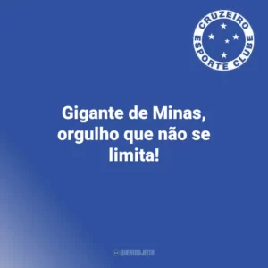 Gigante de Minas, orgulho que não se limita! Cruzeiro