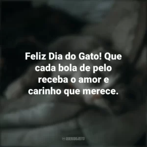 Feliz Dia do Gato! Que cada bola de pelo receba o amor e carinho que merece. Dia do Gato