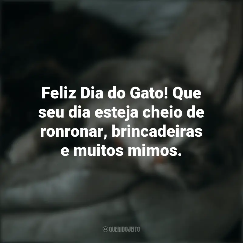 Frases Para Seu Pet O Gato : Feliz Dia do Gato! Que seu dia esteja cheio de ronronar, brincadeiras e muitos mimos.