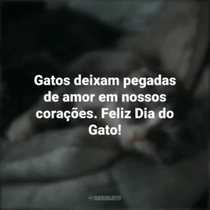 Gatos deixam pegadas de amor em nossos corações. Feliz Dia do Gato! Dia do Gato
