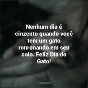 Nenhum dia é cinzento quando você tem um gato ronronando em seu colo. Feliz Dia do Gato! Dia do Gato