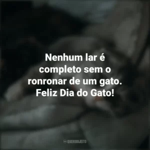 Nenhum lar é completo sem o ronronar de um gato. Feliz Dia do Gato! Dia do Gato