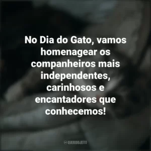 No Dia do Gato, vamos homenagear os companheiros mais independentes, carinhosos e encantadores que conhecemos! Dia do Gato