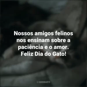 Nossos amigos felinos nos ensinam sobre a paciência e o amor. Feliz Dia do Gato! Dia do Gato