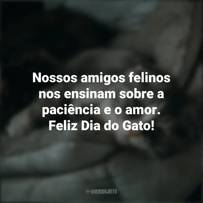 Comemore Com Frases O Dia Do Gato : Nossos amigos felinos nos ensinam sobre a paciência e o amor. Feliz Dia do Gato!