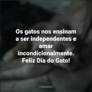 Os gatos nos ensinam a ser independentes e amar incondicionalmente. Feliz Dia do Gato! Dia do Gato