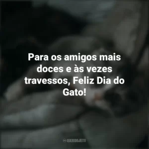 Para os amigos mais doces e às vezes travessos, Feliz Dia do Gato! Dia do Gato