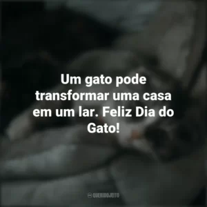 Um gato pode transformar uma casa em um lar. Feliz Dia do Gato! Dia do Gato