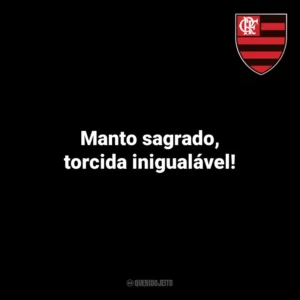 Manto sagrado, torcida inigualável! Flamengo