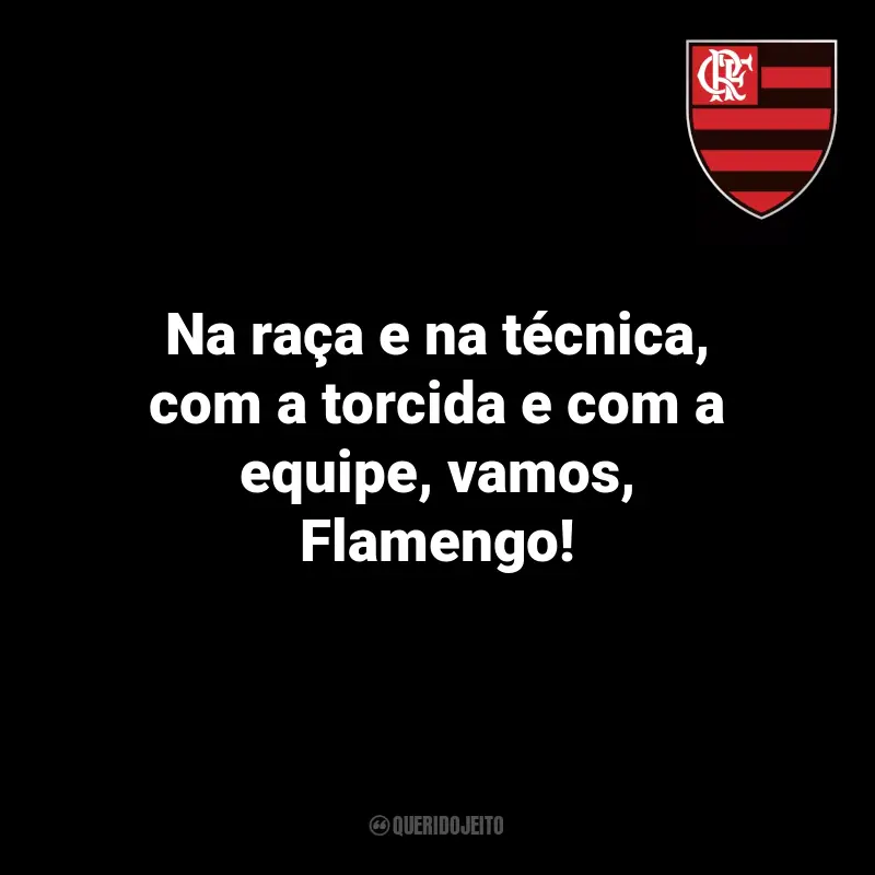 Citações de Flamengo: Na raça e na técnica, com a torcida e com a equipe, vamos, Flamengo!
