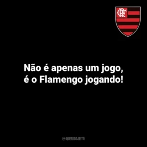 Não é apenas um jogo, é o Flamengo jogando! Flamengo