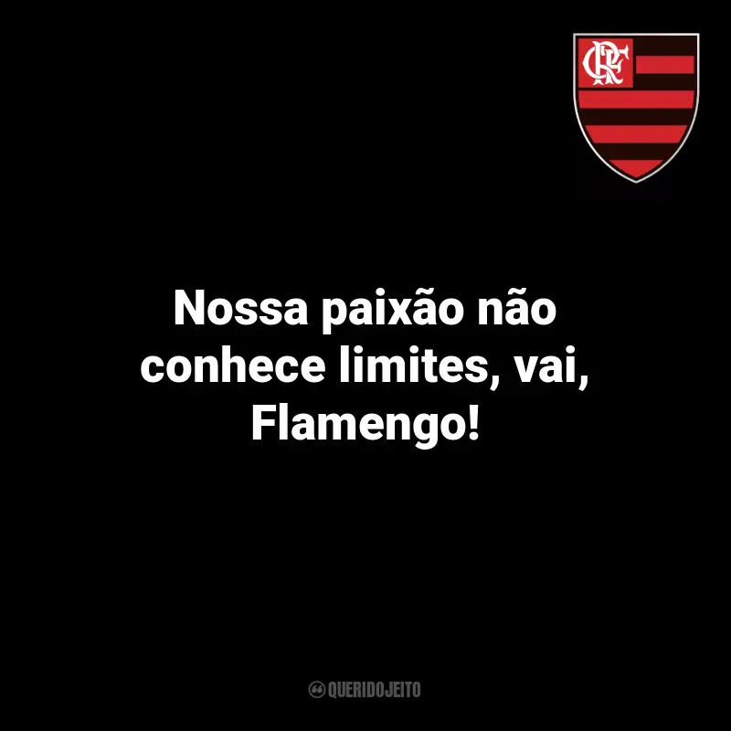 Frases de Flamengo Vitórias: Nossa paixão não conhece limites, vai, Flamengo!