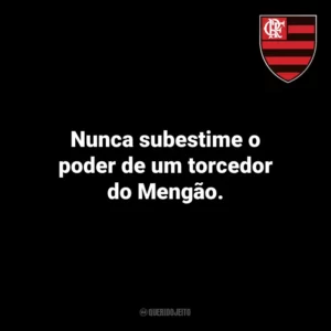 Nunca subestime o poder de um torcedor do Mengão. Flamengo