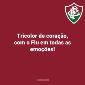 Tricolor de coração, com o Flu em todas as emoções! Fluminense
