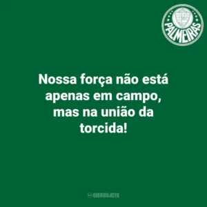 Nossa força não está apenas em campo, mas na união da torcida! Palmeiras