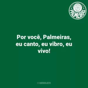 Por você, Palmeiras, eu canto, eu vibro, eu vivo! Palmeiras