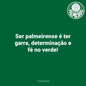 Ser palmeirense é ter garra, determinação e fé no verde! Palmeiras