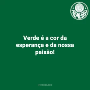 Verde é a cor da esperança e da nossa paixão! Palmeiras