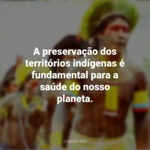 A preservação dos territórios indígenas é fundamental para a saúde do nosso planeta. Dia dos Povos Indígenas