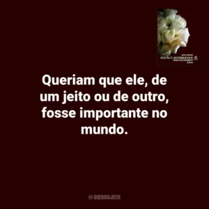 Queriam que ele, de um jeito ou de outro, fosse importante no mundo. Razão e Sensibilidade (Livro)
