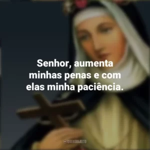 Senhor, aumenta minhas penas e com elas minha paciência. Santa Rosa de Lima